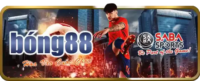 Cá cược thể thao y088